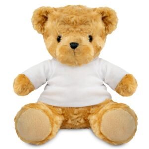 19cm  Sitting Bear With T-Shirt